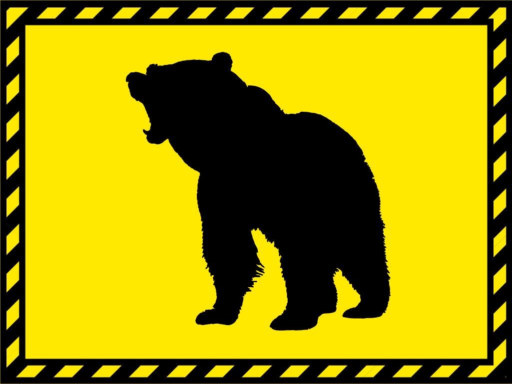 無許可でクマを駆除すると書類送検される