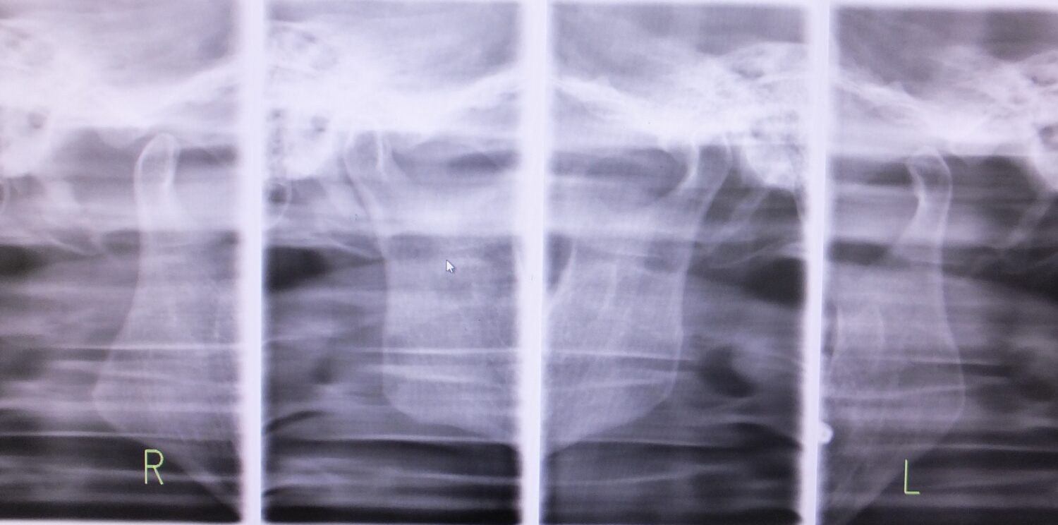 まえだ歯科photo