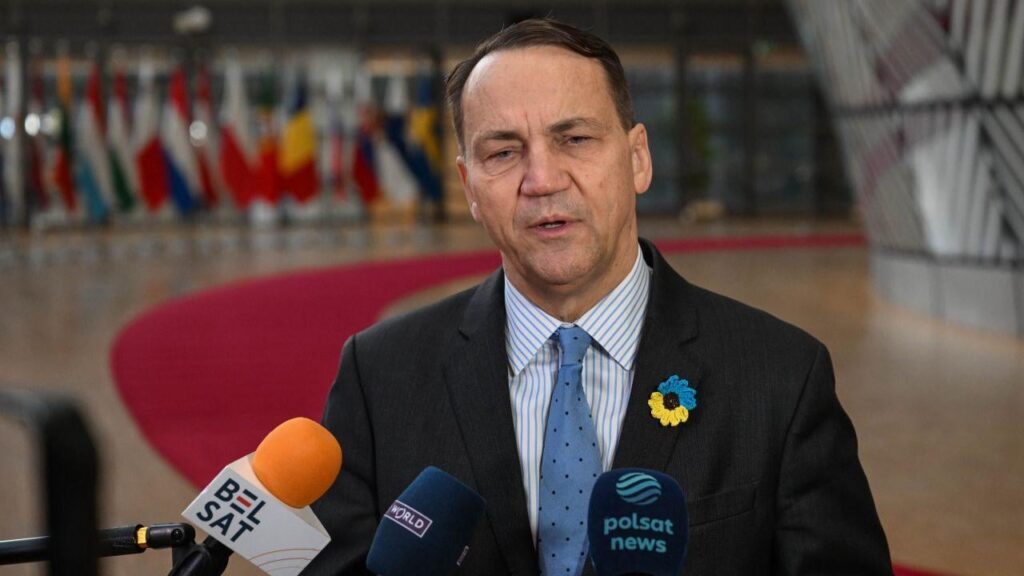 ポーランドのシコルスキー氏「ウクライナに対するハンガリーの態度は衝撃的だ」