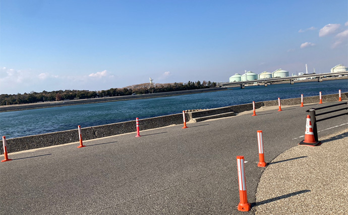 冬の潮干狩りで4cm級含みアサリ20個を好捕【愛知・新舞子海岸】 穴を探すことがコツ？