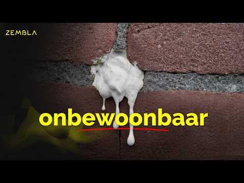 何万もの家が不快な UF フォームで断熱された方法 |ゼンブラ