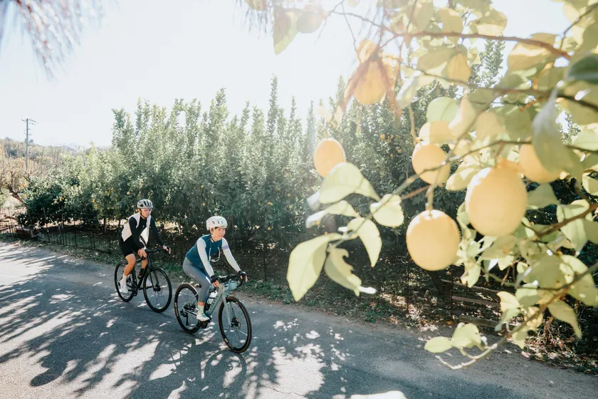 開催地の様子(3)