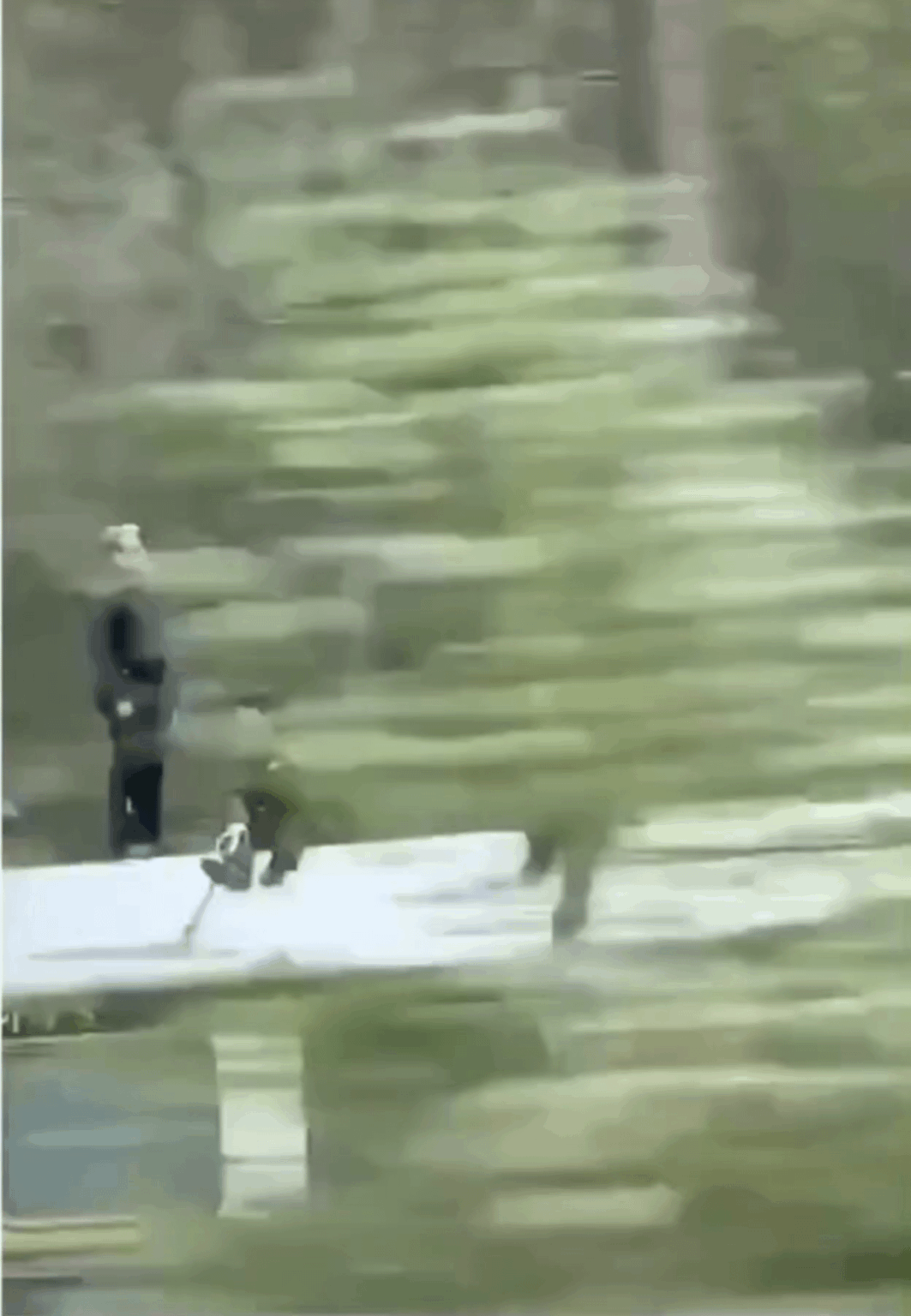 ノルウェーで男性が車を運転中、電車内で偶然トム・クルーズを発見