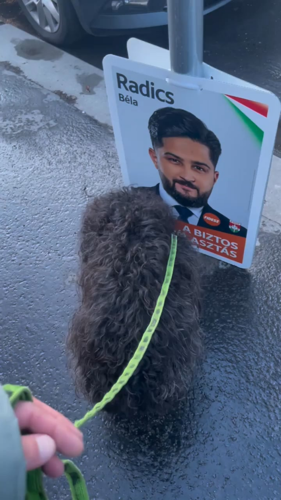 賢いギズグチャ！