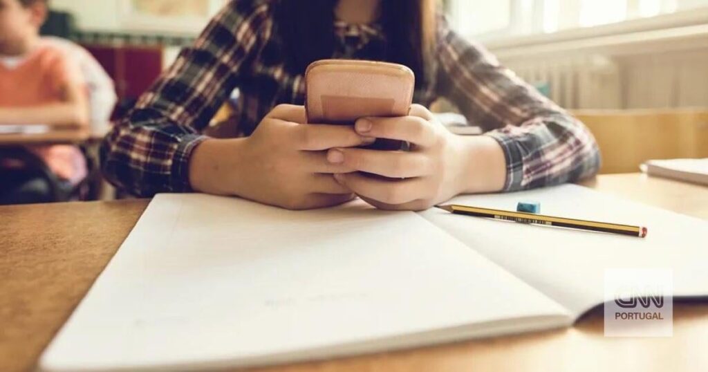 議会、未成年者のソーシャルメディアへの自由なアクセス禁止を承認