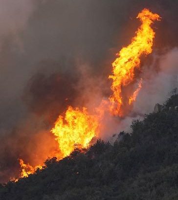 岡山の８２歳男性を書類送検へ　山林火災、重過失失火容疑