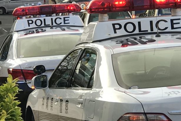 「景色が見たかった」小学校へ侵入の疑い、米兵逮捕　児童に声掛け、接触か　沖縄