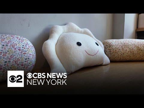 ピエロギのぬいぐるみ枕人気がブルックリン店を震撼させる