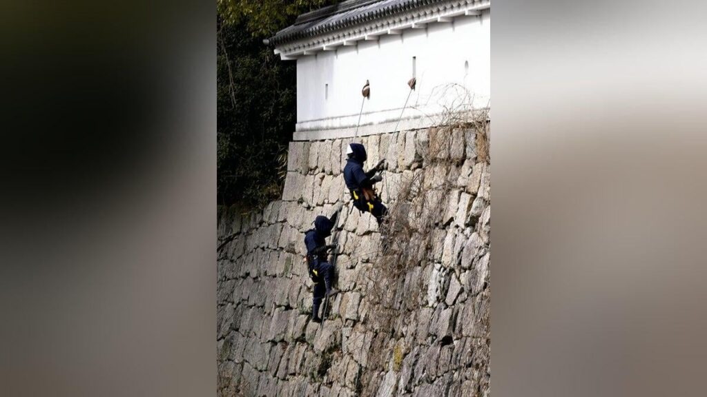 城の石垣に取りつく忍者、使うは忍法「除草の術」…甲賀市の水口城跡で冬の清掃作業
