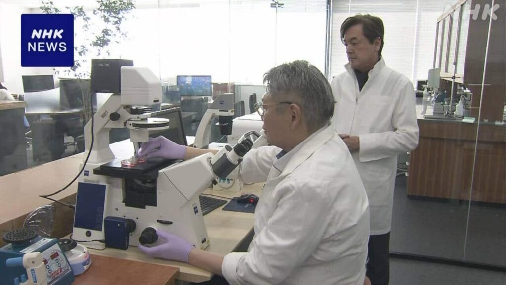 毛の再生 マウス使った実験で成功 “脱毛症治療に応用目指す”