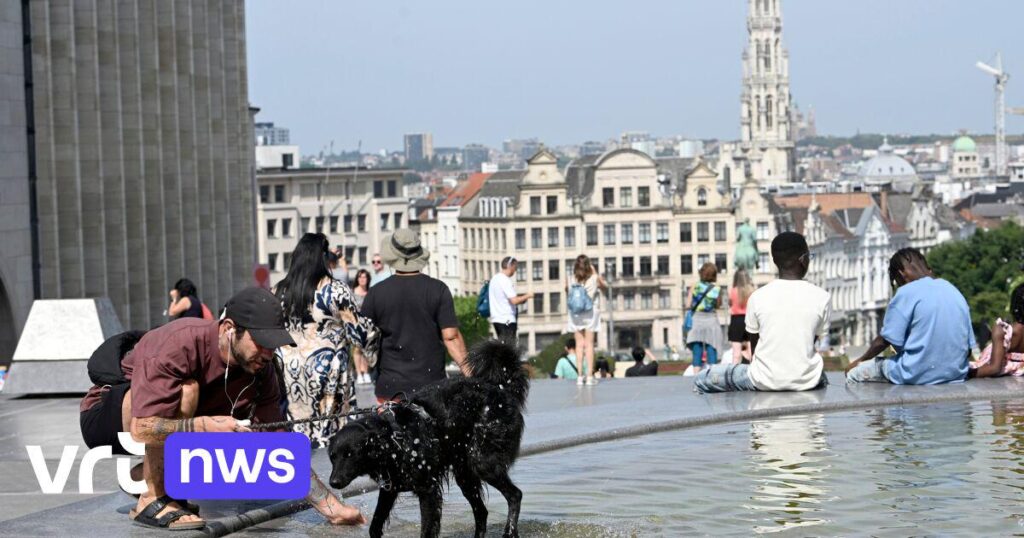 気候が温暖化が続けば、ベルギーの住宅は大幅に過熱する危険にさらされています。私たちはどのような選択ができるでしょうか?