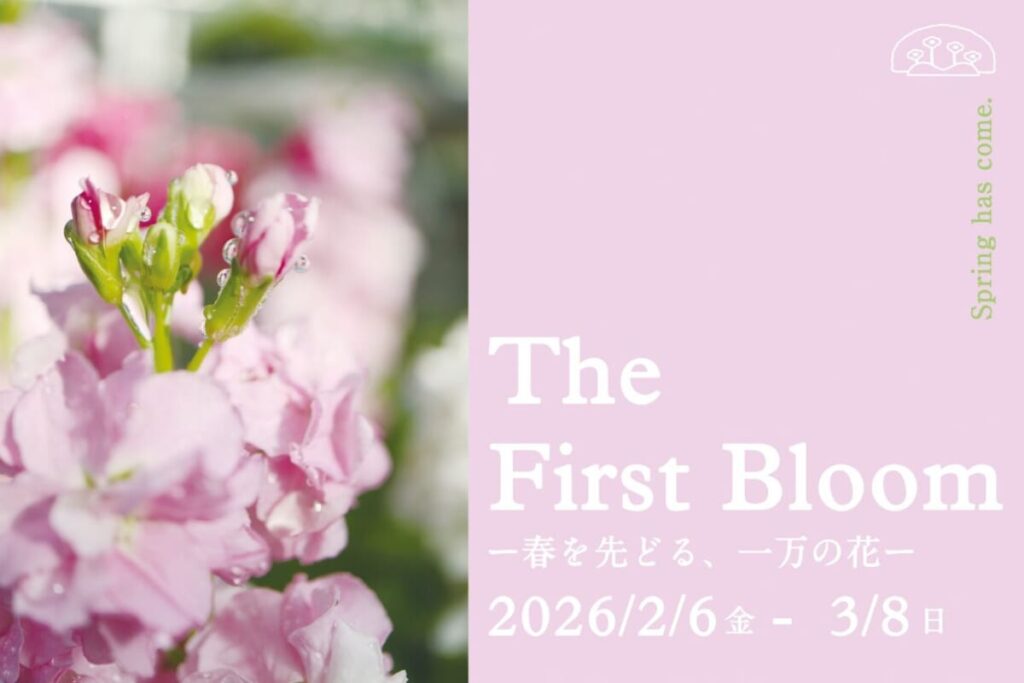 【京都府立植物園】早春の草花展や没入型エンターテインメントも！「The First Bloom ―春を先どる1万の花―」 - エキサイトニュース