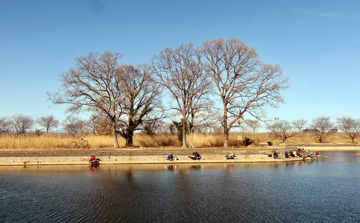 今週のヘラブナ推薦釣り場2026【群馬県・群馬の水郷】 – エキサイトニュース 今週のヘラブナ推薦釣り場2026【群馬県・群馬の水郷】 - エキサイトニュース