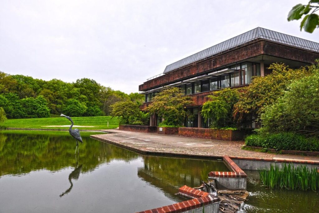 改革主導の理事会、利下げの約束にもかかわらず英国最大の増税に向けて準備