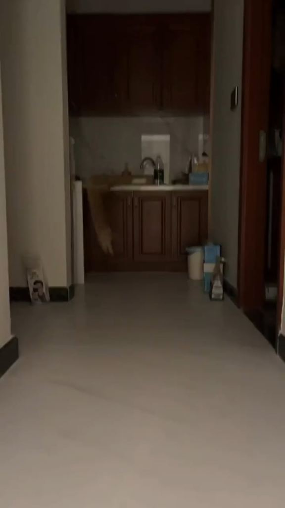キャットボット