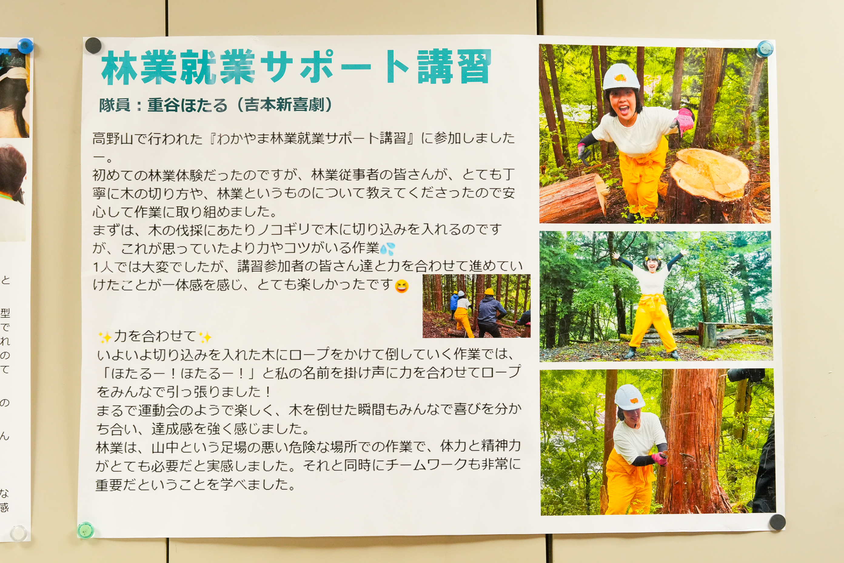 出典: FANY マガジン
