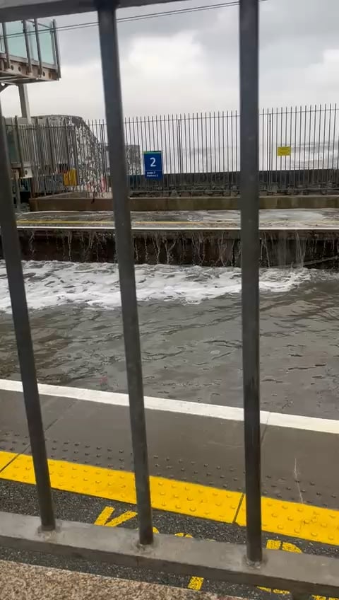 後で DART に乗って家に帰れるように頑張ってください (ブラックロック駅)