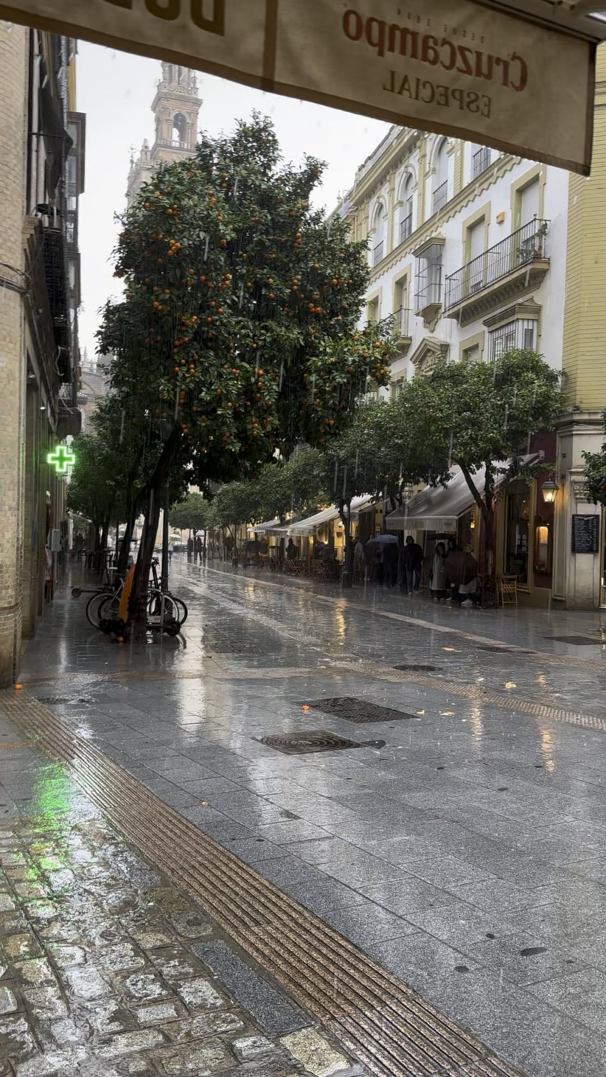 セビリアの雨☔️