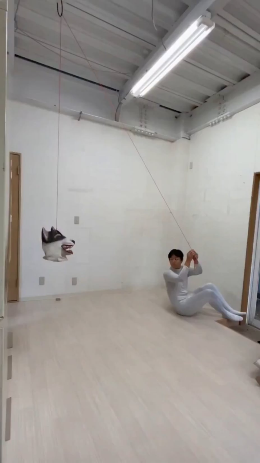 で、今日は何をしましたか？