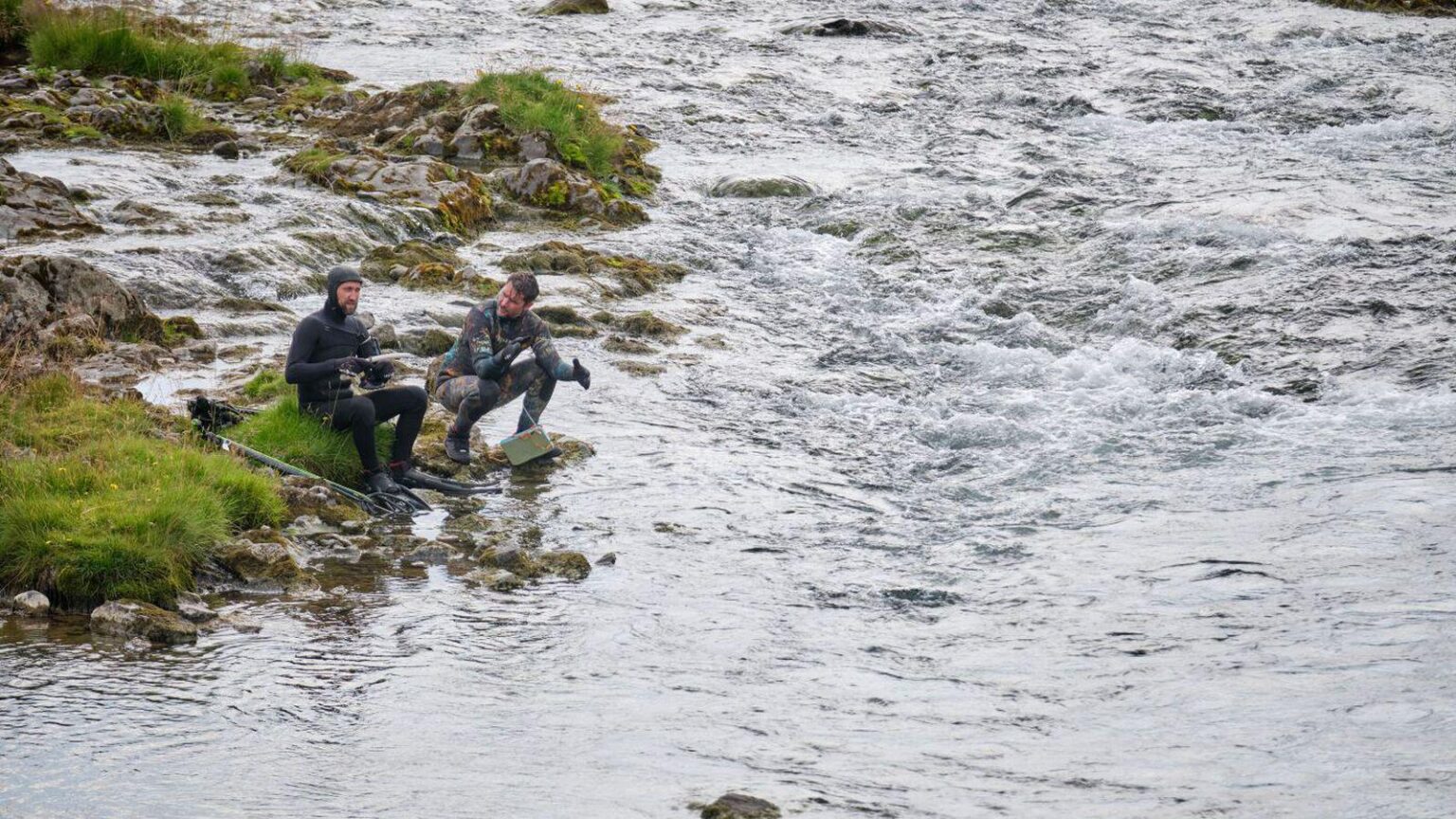 人口のほぼ60％がマナティー飼育の禁止を望んでいる
