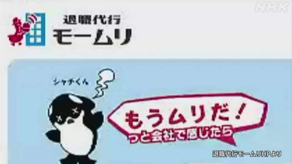 「モームリ」運営会社 社長ら逮捕 弁護士法違反疑い 容疑否認 | NHKニュース