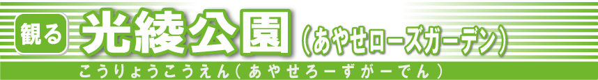光綾公園(あやせローズガーデン)バナー