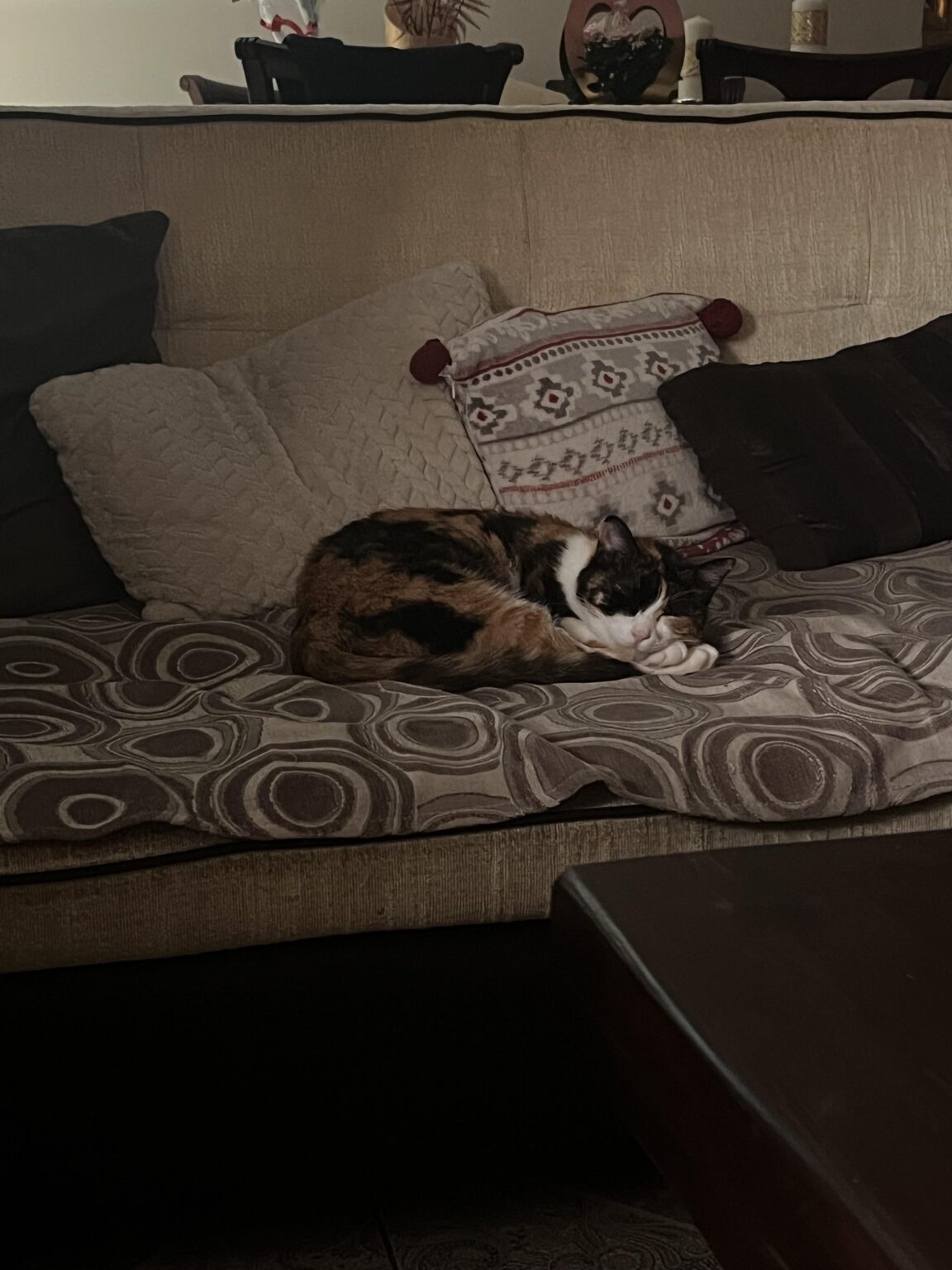 彼は目が覚めてまた眠りについた