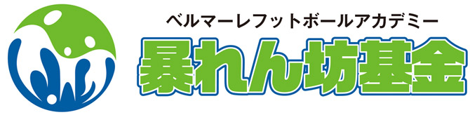 百年構想リーグ暴れん坊基金（暴れん坊プレーヤー、個人会員、法人会員）のご案内 « 湘南ベルマーレ公式サイト