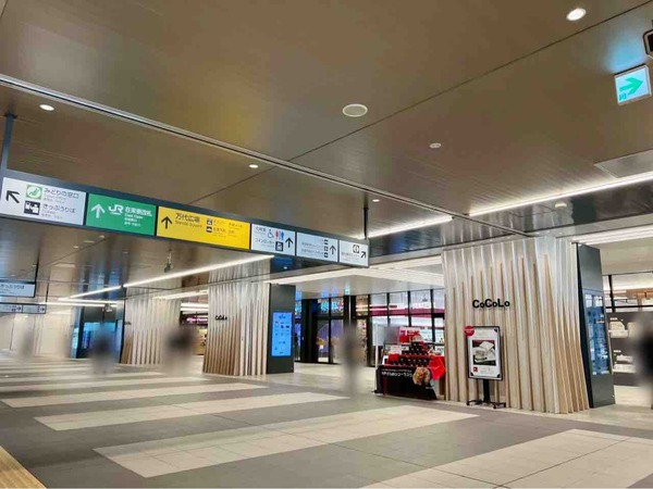 DOTS FOR CHOCOLATE LOVERS