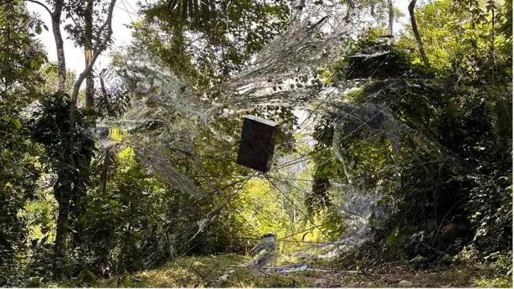 adf-web-magazine-maebashi-biennale-2026-4