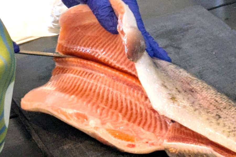 『TOOTH MART meets 青森県』