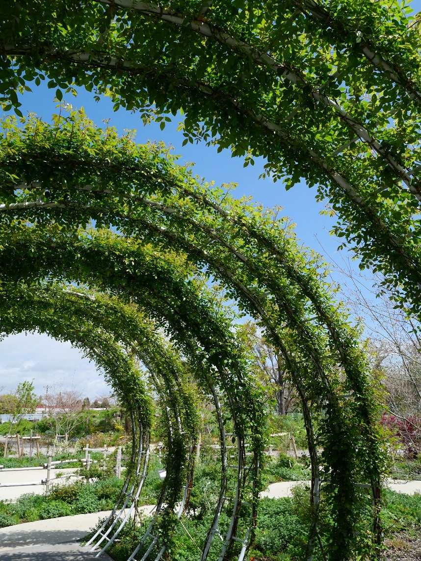 アーチの中から見上げる