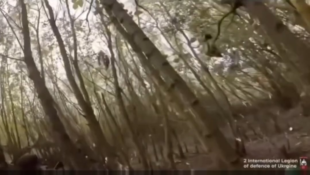 国際軍団と戦う英国の義勇兵がロシアのクルスクの敷地に侵入。 2025年。