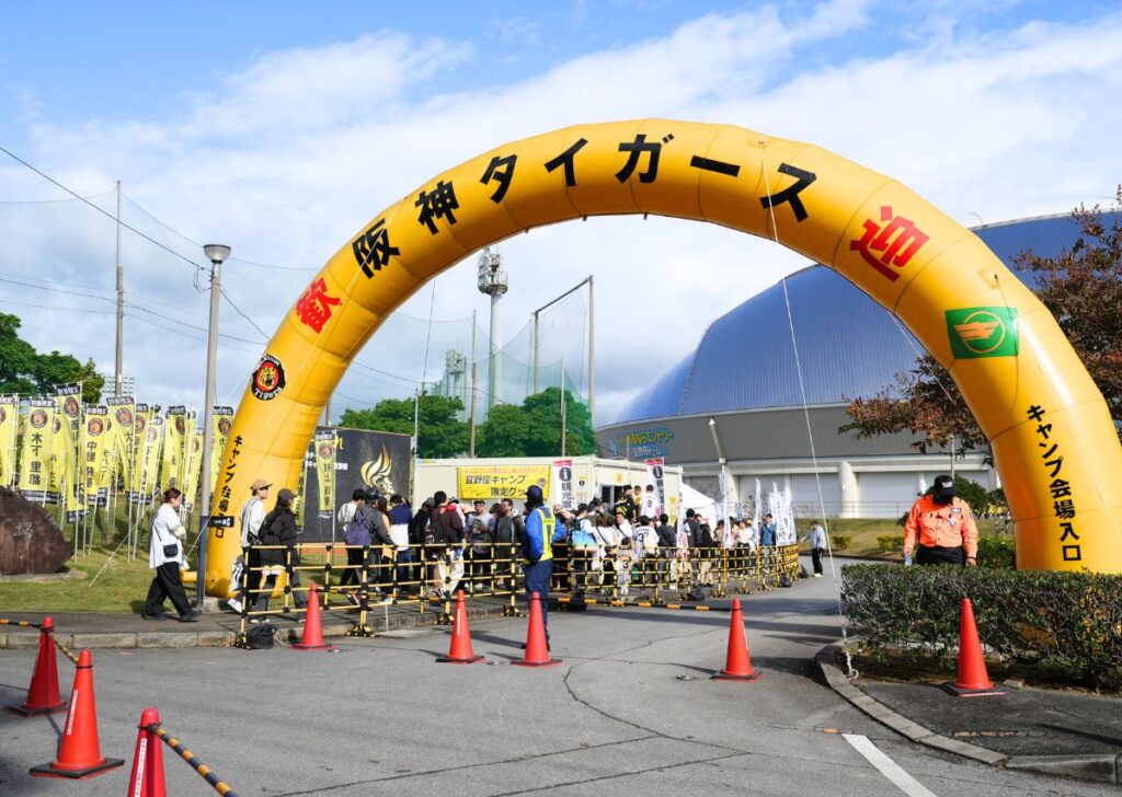 【阪神タイガース】沖縄 宜野座キャンプ2026年の見どころや注目選手は? | OKITIVE 【阪神タイガース】沖縄 宜野座キャンプ2026年の見どころや注目選手は?