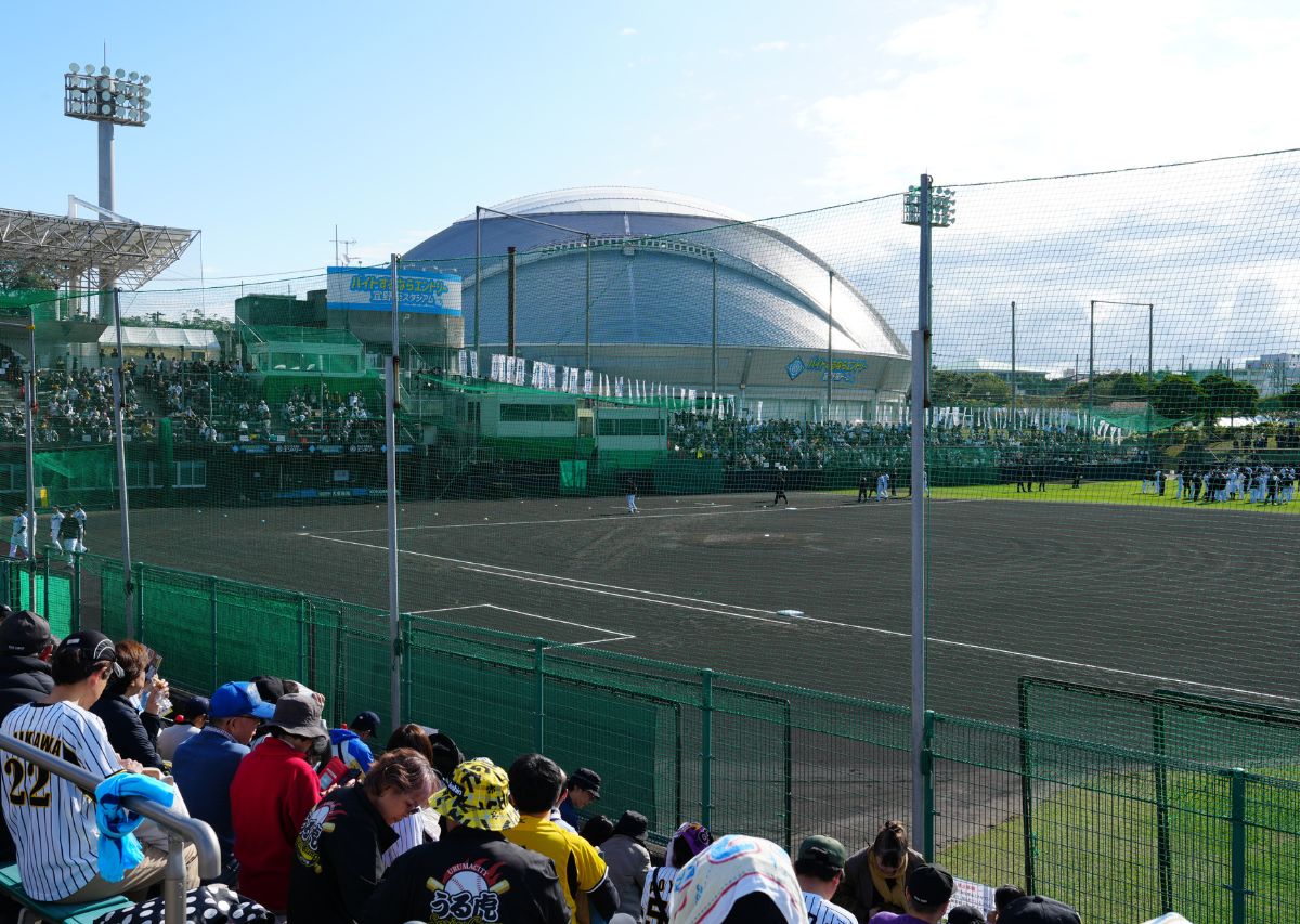 【阪神タイガース】沖縄 宜野座キャンプ2026年の見どころや注目選手は?