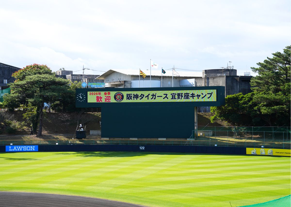 【阪神タイガース】沖縄 宜野座キャンプ2026年の見どころや注目選手は?