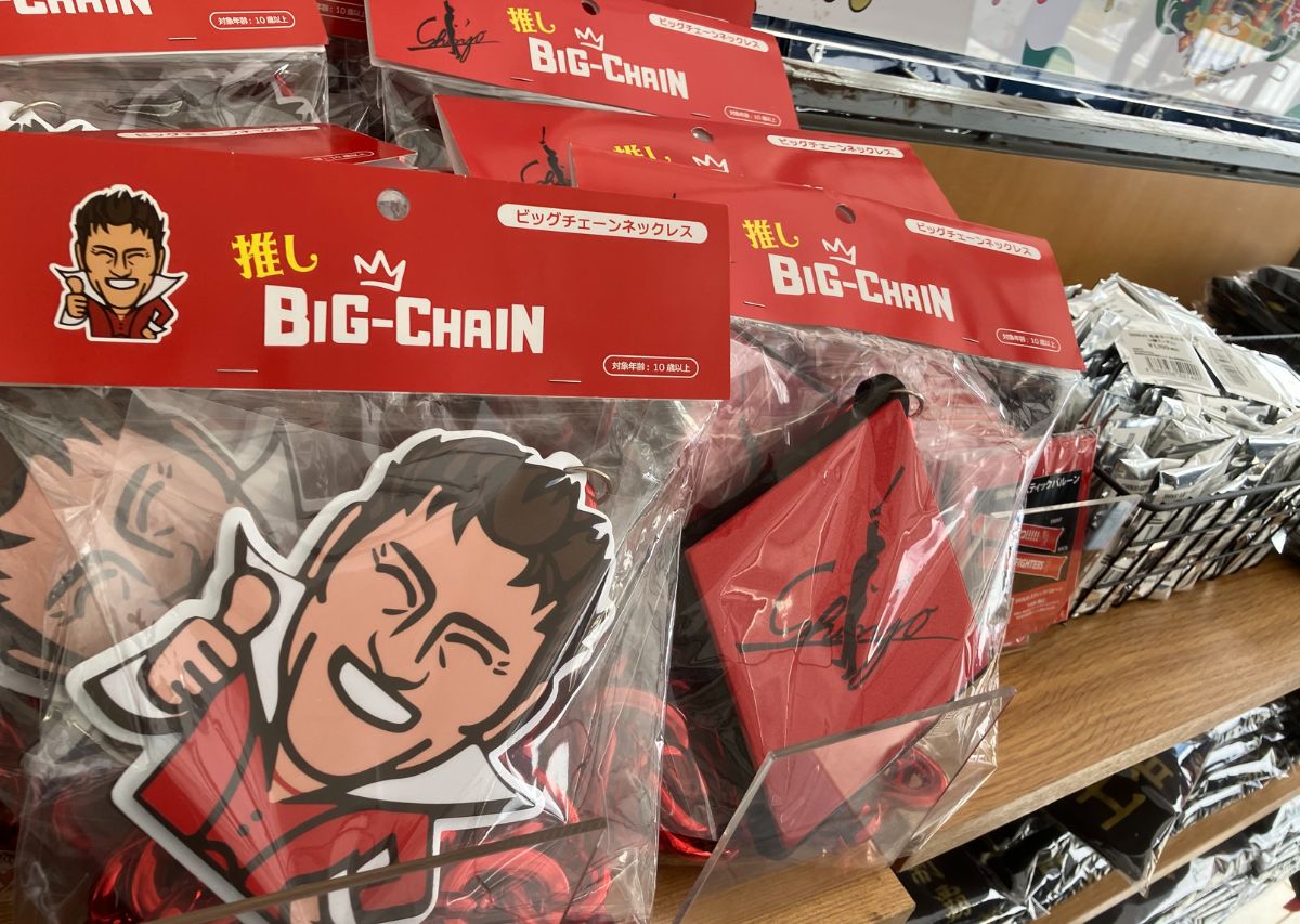 【北海道日本ハムファイターズ】沖縄 名護キャンプ2026年の見どころや注目選手は？