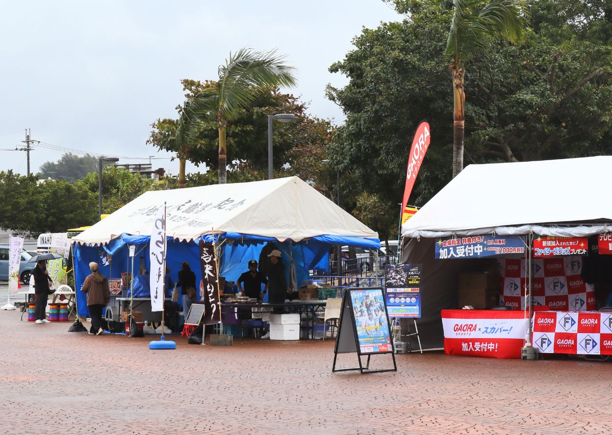 【北海道日本ハムファイターズ】沖縄 名護キャンプ2026年の見どころや注目選手は？