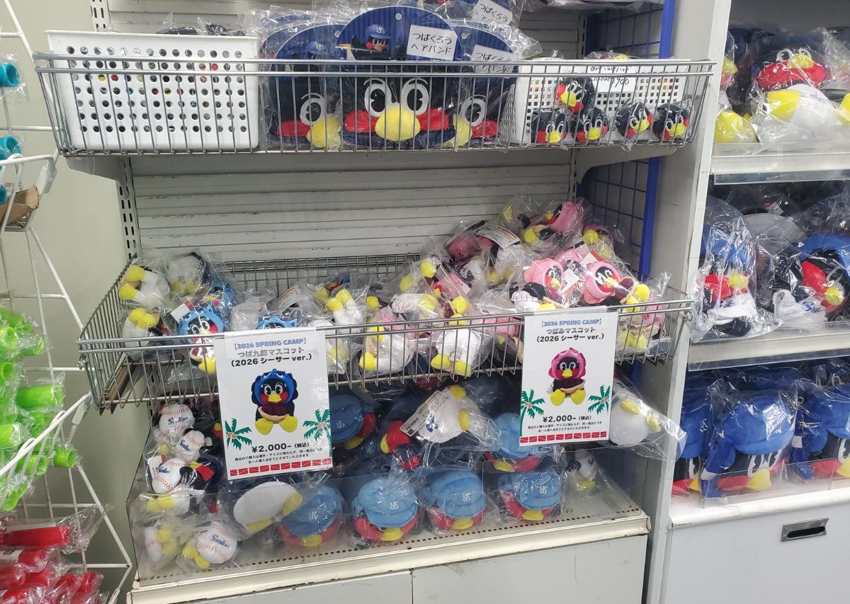 【東京ヤクルトスワローズ】沖縄 浦添キャンプ2026年の見どころや注目選手は?