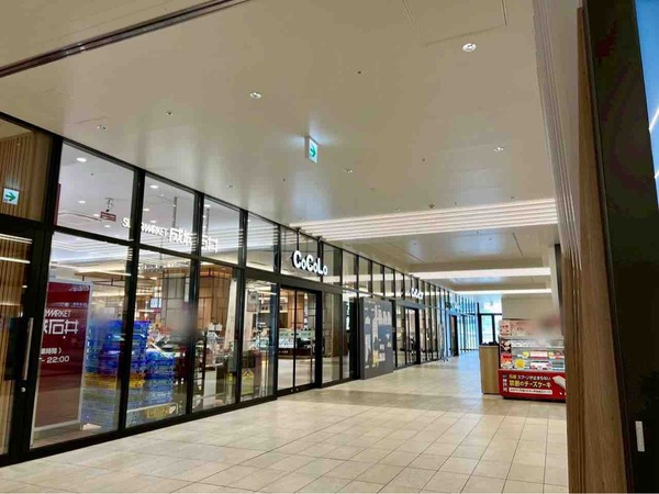 DOTS FOR CHOCOLATE LOVERS