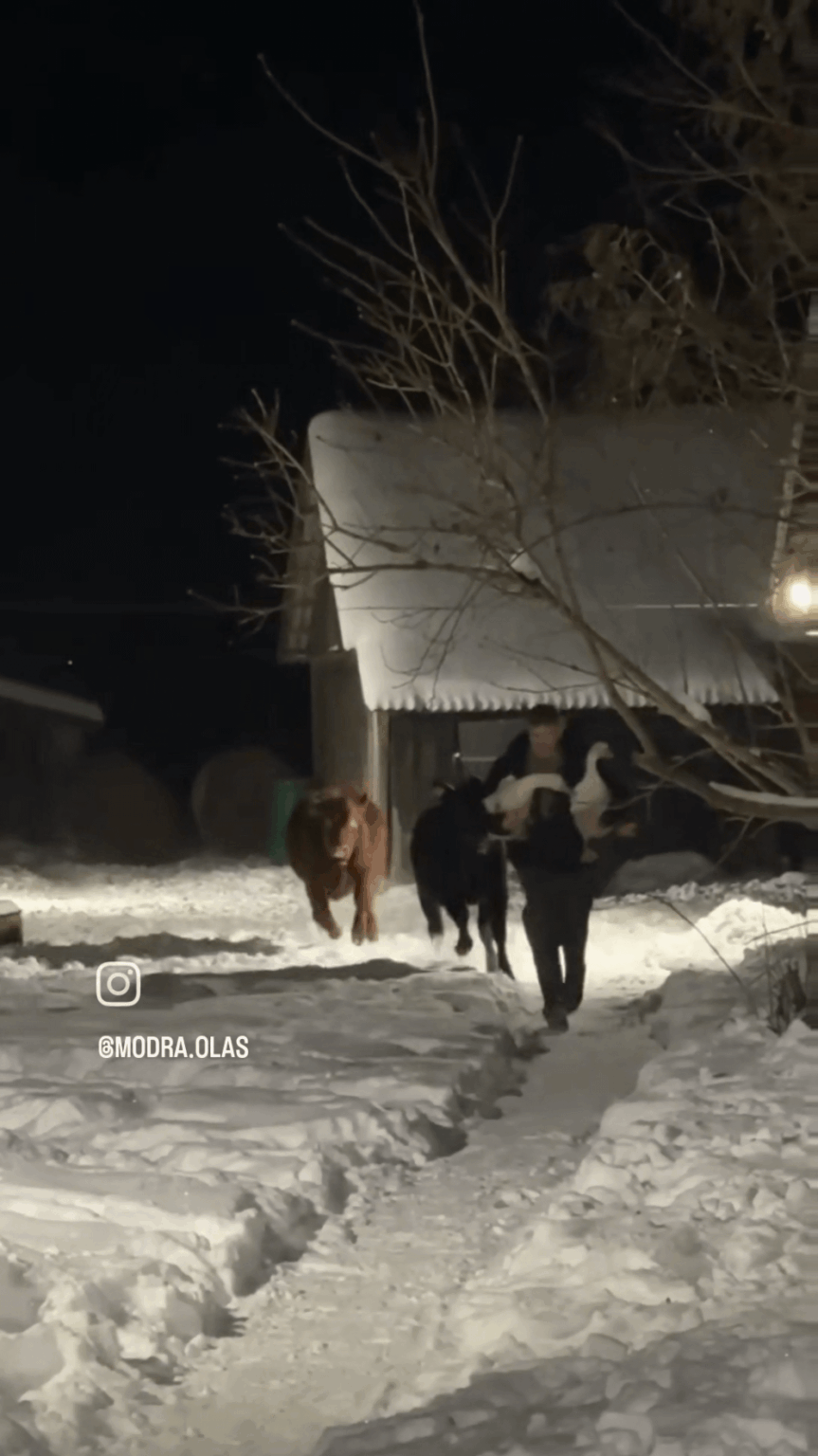 ラトビアは今とても寒いです