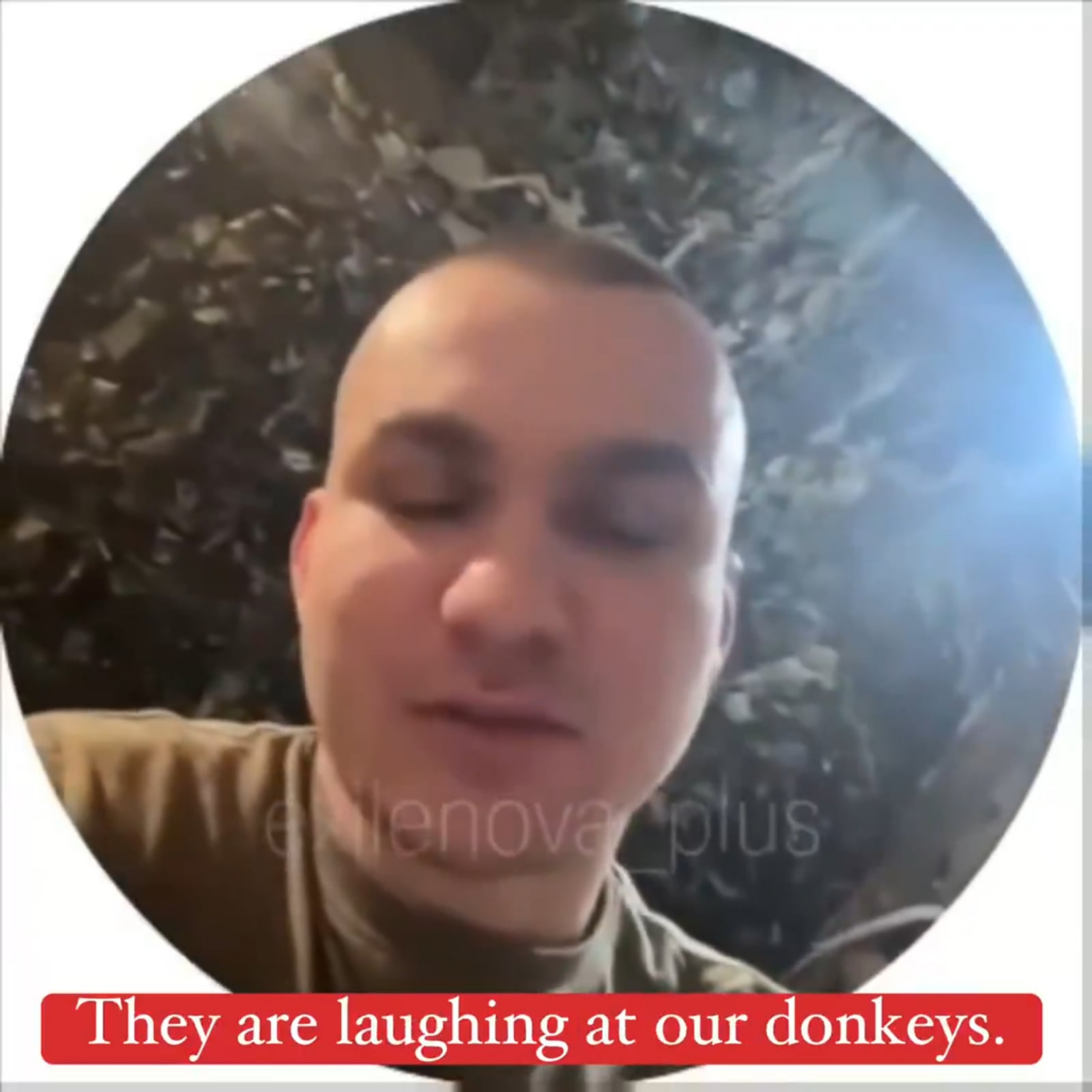 ロシア兵士によると、ウクライナ軍の最大の問題はロバの不足だという。