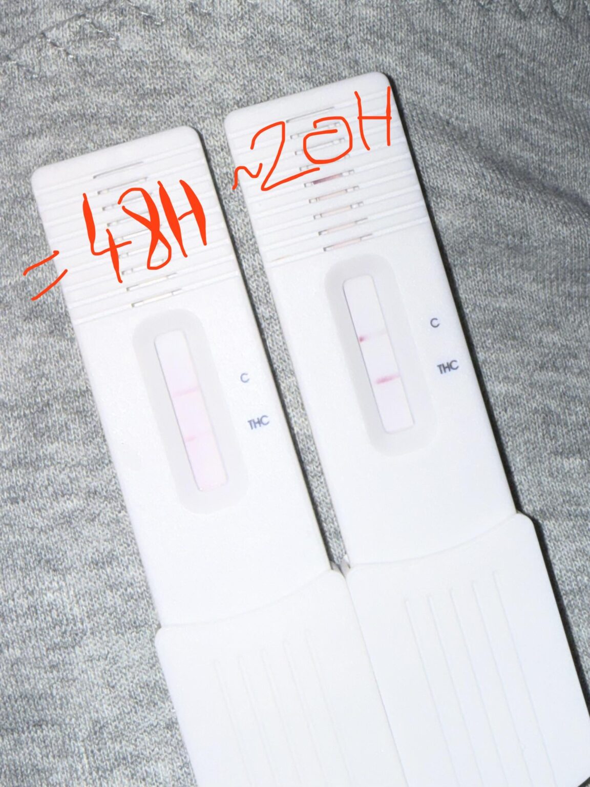 冒涜者に注意してください