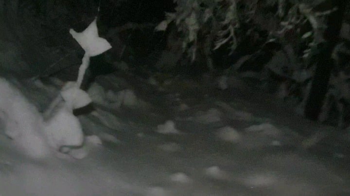 外はとてもいい天気なので、今日はハロックの森をちょっとした夜の散歩です