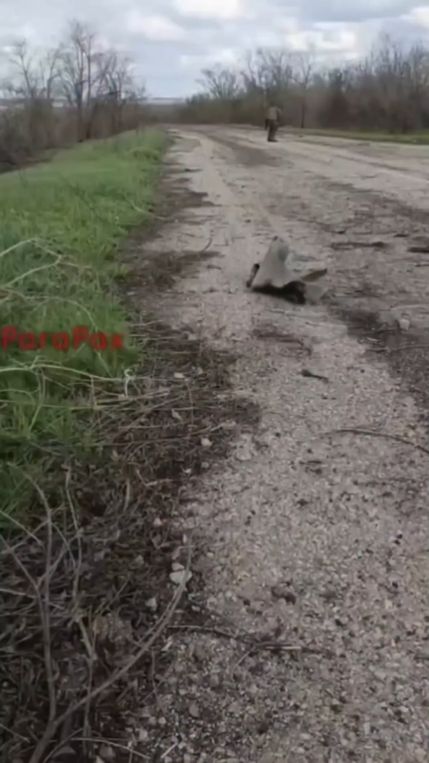 ロシアのEODが地雷を踏む。