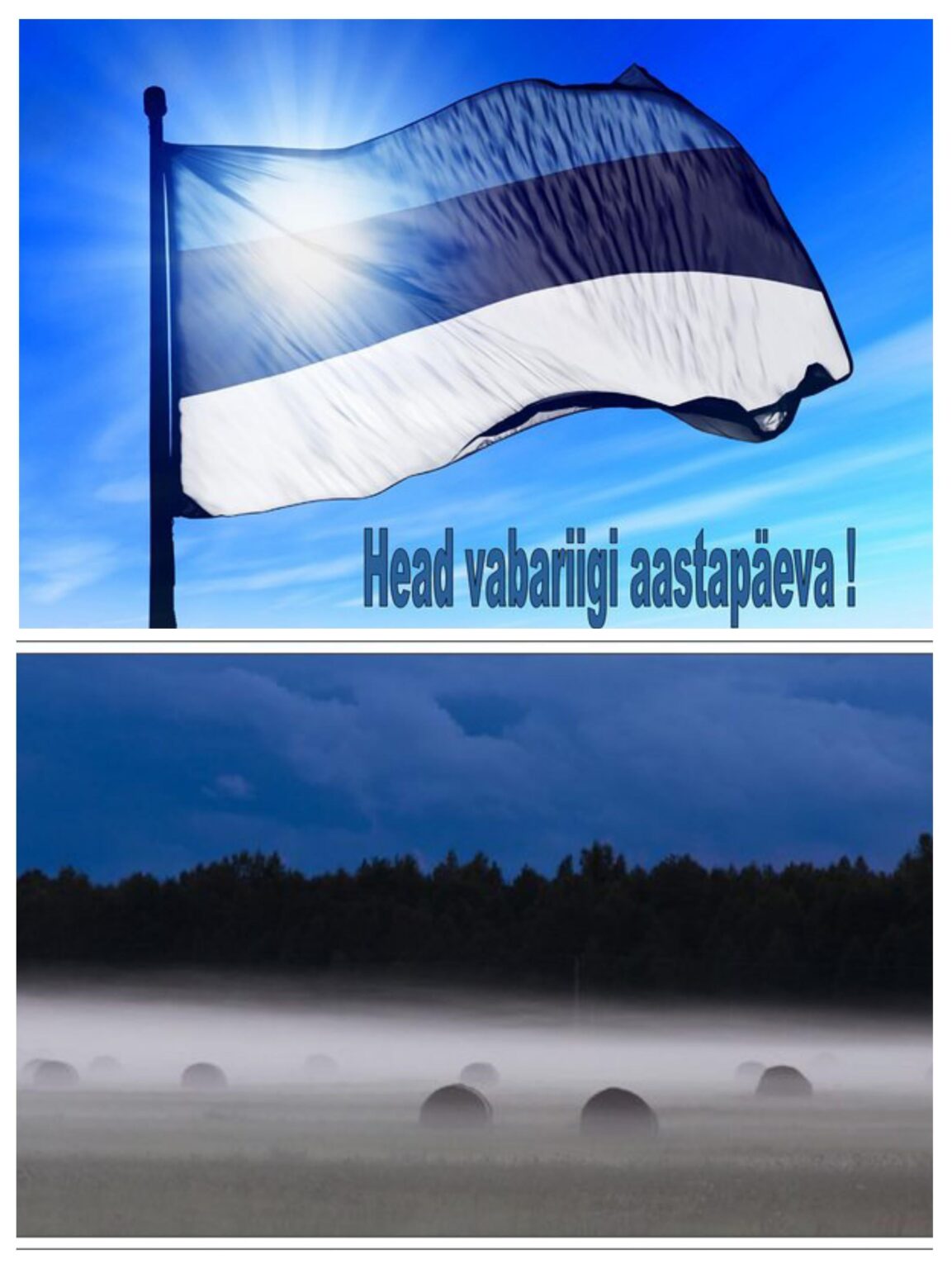 エストニア共和国建国記念日おめでとうございます!