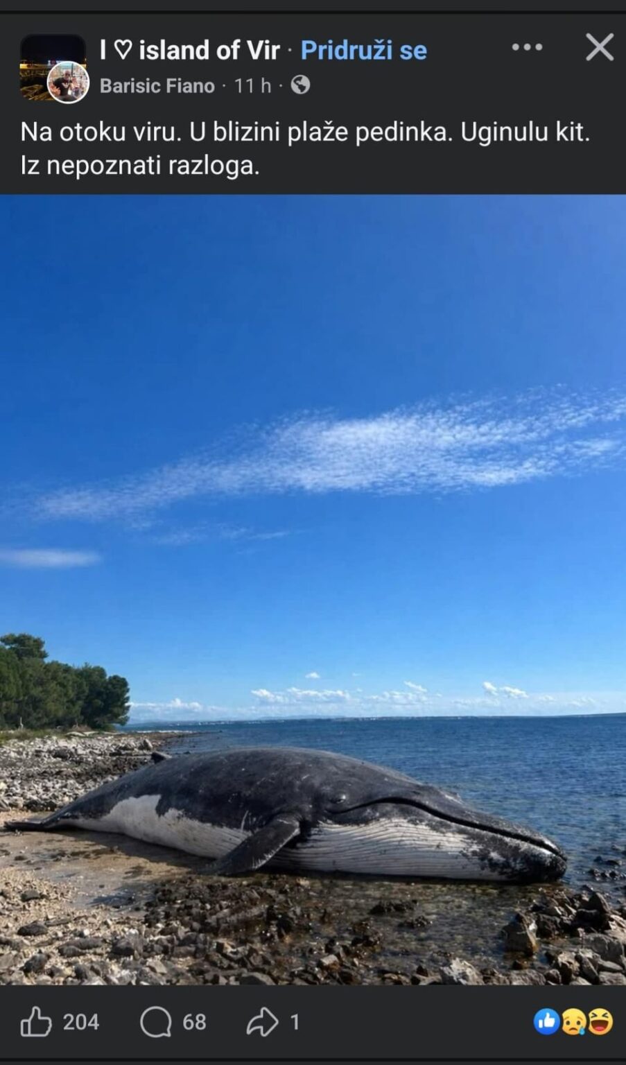 自然環境の中のブーマー世代