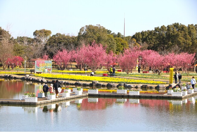 早春ハッピーフェスタ2026開催【国営海の中道海浜公園】 | 鹿児島・九州プレスリリース | 生活情報 | くらし