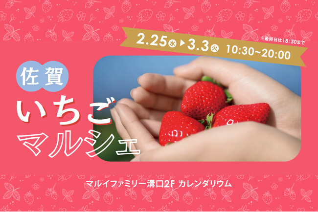 大人気イベントが3年ぶりに帰ってくる！佐賀のおいしいいちごが大集合！マルイファミリー溝口にて「佐賀いちごマルシェ」開催 | 鹿児島・九州プレスリリース | 生活情報 | くらし