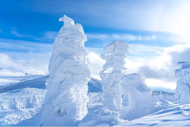 宮城蔵王の希少な自然美「スノーモンスター」を間近で体感。暖房完備の雪上車で行く「樹氷めぐりツアー」付き宿泊プランを、2、3月限定販売【メルキュール宮城蔵王リゾート&スパ】 | 鹿児島・九州プレスリリース | 生活情報 | くらし